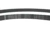 Комплект ремня генератора Citroen Berlingo/Peugeot Partner 1.6 BlueHDi 08- (6PK1005) INA 529 0581 10 (фото 10)