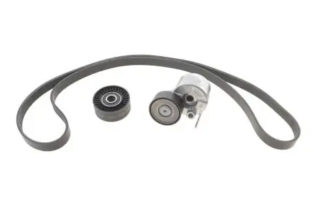 Комплект ременя генератора VW T6 2.0 TDI 15-24 (6PK 1555) INA 529 0591 10 (фото 1)