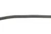 Комплект ременя генератора VW T6 2.0 TDI 15-24 (6PK 1555) INA 529 0591 10 (фото 10)