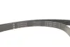 Комплект ременя генератора Fiat Doblo 1.9D 01- (6PK1815) INA 529 0593 10 (фото 10)