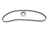 Комплект ГРМ Fiat Doblo 1,2, 03/01 -, 48kw INA 530 0206 10 (фото 1)