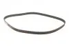 Комплект ГРМ Renault Kangoo (KC0/FC0), 1.9dCi, 08/97-, 59/62kw, F9Q 790 INA 530 0473 10 (фото 4)