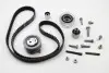 Комплект ГРМ VW Caddy III/IV/T5/Crafter 1.6TDI/2.0TDI, (160x25) INA 530 0550 10 (фото 4)
