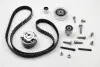 Комплект ГРМ VW Caddy III/IV/T5/Crafter 1.6TDI/2.0TDI, (160x25) INA 530 0550 10 (фото 3)