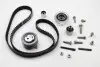 Комплект ГРМ VW Caddy III/IV/T5/Crafter 1.6TDI/2.0TDI, (160x25) INA 530 0550 10 (фото 2)