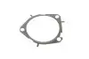 Комплект ГРМ + помпа Fiat Stilo 1.0 JTD 03-06 INA 530 0626 30 (фото 17)