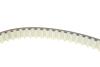 Комплект ГРМ Land Rover Discovery/Range Rover 3.0 TD 09- (20x80z) INA 530 0692 10 (фото 2)