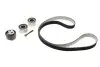 Комплект ГРМ Land Rover Discovery 04-/Sport 3.0D 13- (4x4) (195x29) INA 530 0933 10 (фото 1)