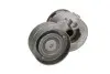 Натяжник ременя генератора Renault Scenic/Megane II/III 1.9dCi/2.0 16V 03-, F9Q/F4R INA 534 0027 10 534 0027 10