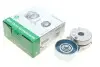 Натяжник ременя генератора Nissan X-Trail/Qashqai/Renault Clio/Fluence/Laguna III 2.0 16 V 07- INA 534 0442 10 534 0442 10