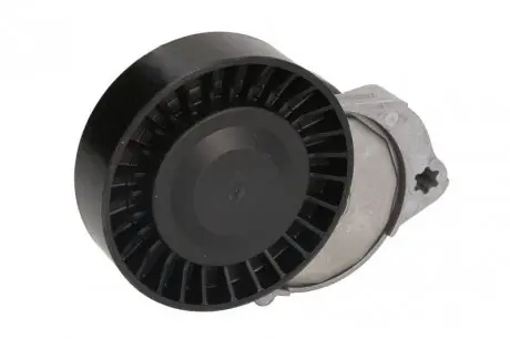 Натяжник ремня генератора Ford Mondeo/Volvo V50/V60/V70/S80 2.4/2.5D 06- INA 534 0604 10