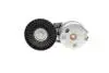Натяжник ремня генератора Land Rover Discovery/Range Rover 2.7/3.0 04- INA 534 0668 10 (фото 5)