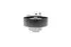 Натяжник ремня генератора Land Rover Discovery/Range Rover 2.7/3.0 04- INA 534 0668 10 (фото 6)