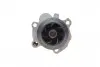 Помпа води VW Caddy II 1.9TDI/SDI (9K9A), 11/95 - 01/04, 47/66kw INA 538 0006 10 (фото 5)