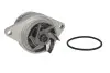 Помпа води VW Caddy 1.4/1.6 95- INA 538 0031 10