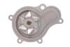 Помпа води Jeep Cherokee/Wrangler 2.4 01-08 INA 538 0689 10 (фото 4)