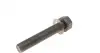 Шкив коленвала VW LT/T4/Crafter 2.5TDI 92-13 (с болтом)) INA 544 0002 20 (фото 5)