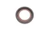 Комплект цепи ГРМ Fiat Ducato/Peugeot/Citroen/Iveco 3.0 JTD 11- INA 559 1011 51 (фото 6)