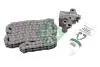 Комплект ланцюга ГРМ Ford Mondeo III 2.0 TDCi/Transit 2.4 DI 00-06 (ланцюг, натяжник) INA 559 1814 10 (фото 1)