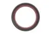 Комплект ланцюга OPEL Z10XE/Z12XE/Z14XEP із шестернями. INA 559 1821 41 (фото 9)