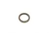 Комплект цепи ГРМ Fiat 500/Doblo/Fiorino/Punto/Citroen Nemo 1.3 03- INA 560 0003 10 (фото 18)
