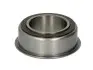 Підшипник КПП VW T4 (29x46x18.15), 02A/02B/02J/02R/02S/0A4, MQ250, (F-207555) INA 712 0484 10 (фото 1)