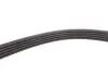 Ремінь генератора VW Passat B5/Audi A4/A6 1.6/1.8 95- INA FB 5PK1300 (фото 3)