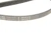 Ремень генератора BMW 5 (E39)/7 (E38) 2.5TDS 96-04/Kia Cerato/Rio/Hyundai Accent 1.5/1.6CRDI 05- (5PK1850) INA FB 5PK1850 (фото 4)