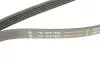 Ремень генератора BMW 5 (E39)/7 (E38) 2.5TDS 96-04/Kia Cerato/Rio/Hyundai Accent 1.5/1.6CRDI 05- (5PK1850) INA FB 5PK1850 (фото 5)