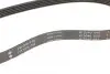 Ремінь генератора Land Rover Freelander 1.8 16V 00-06 INA FB 5PK736 (фото 3)