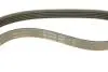 Ремень генератора Opel Omega B 2.5DTI 01-03 INA FB 5PK830 (фото 4)
