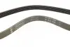 Ремень генератора Citroen Berlingo/Honda Civic/Mazda 323/626 INA FB 5PK853 (фото 2)