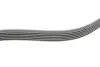 Ремень генератора VW Polo/Up 11-/Skoda Fabia 14-/Seat Ibiza 1.0/1.6 15- (6PK989) INA FB 6EPK989 (фото 3)