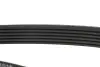 Ремінь генератора Citroen Jumper/Peugeot Boxer2.5D/TD FB 6PK1015 INA FB6PK1015 (фото 2)