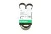 Ремень генератора Citroen Jumpy/Peugeot 3008/5008/Expert 2.0BlueHDi 16- (6PK1230) INA FB 6PK1230