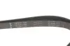 Ремень генератора Citroen Xantia 3.0 V6 97-03/Mitsubishi L200 2.5 DI-D 05-15 INA FB 6PK1495 (фото 3)