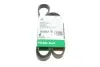Ремень генератора Ford Focus 1.8 TDCi 05-12/Skoda Octavia 1.4 i 99-01 (6PK1520) INA FB 6PK1520 (фото 1)