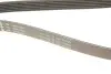 Ремінь генератора поліклиновий VW Golf/BMW/Ford/Opel (6PK1540) INA FB 6PK1540 (фото 4)