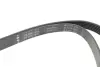 Ремінь генератора Audi A4/A6 1.6-2.0 00-08 (6PK1570) INA FB 6PK1570 (фото 2)