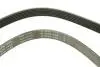 Ремень генератора Ford Escort 1.4-1.8 92-00/Renault Laguna 1.8 93-01/VW Golf II/Passat B3/B4 88-97 INA FB 6PK1653 (фото 4)