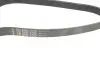 Ремень генератора Jeep Wrangler 4.0 91-96/Volvo S90/V90 2.9 97-98/Ford Scorpio 2.0/2.3 94-98 INA FB 6PK1755 (фото 2)