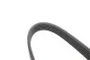 Ремень генератора Jeep Wrangler 4.0 91-96/Volvo S90/V90 2.9 97-98/Ford Scorpio 2.0/2.3 94-98 INA FB 6PK1755 (фото 3)
