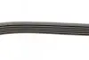 Ремень генератора Opel Combo/Astra/Vectra/Omega 1.2-2.2 91-03/BMW 1 (E81/E87) 2.0D 04-11 INA FB 6PK1800 (фото 2)
