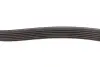 Ремень генератора MB Sprinter CDI (-AC) (с обводным роликом)) (6PK2260) INA FB 6PK2260 (фото 3)