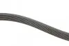 Ремінь генератора MB S-class (W221/W222)/E-class (W212) 4.7-5.5 11-17/Porsche Macan 3.0-3.6 14- INA FB 6PK2528 (фото 2)