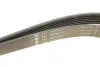 Ремінь генератора Jeep Cherokee/Liberty 2.5/2.8 CRD 01- (6PK2870) INA FB 6PK2870 (фото 3)