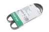Ремень генератора Peugeot Partner 1.6 HDI 08-/Ford Connect 1.6TDCi 13- (+AC) INA FB 6PK975 (фото 2)