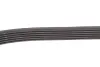 Ремень генератора Peugeot Partner 1.6 HDI 08-/Ford Connect 1.6TDCi 13- (+AC) INA FB 6PK975 (фото 3)