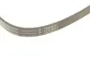 Ремень генератора VW LT 2.5TDI 00- (-AC)/T4 2.4D/2.5TDI 96- (6PK1715) INA FB 6XPK1715 (фото 3)