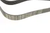 Ремінь генератора Land Rover Discovery/Range Rover 2.5 Td5/3.9-4.6 93-04 (7PK1867) INA FB 7PK1867 (фото 2)
